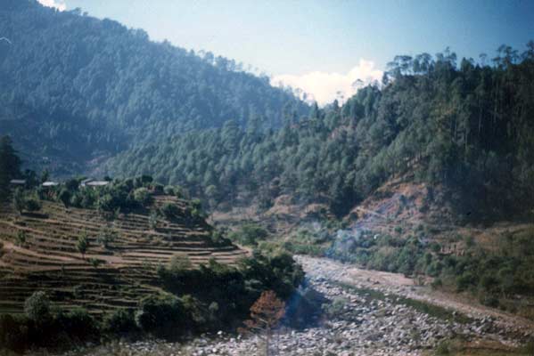 Rowa, Champawat, Uttaranchal: My Home Village